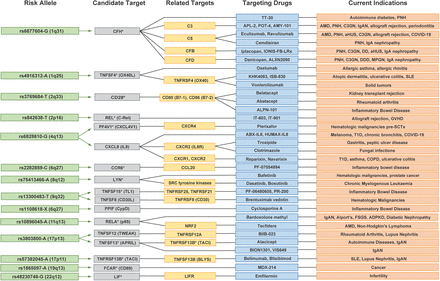 Figure 6: