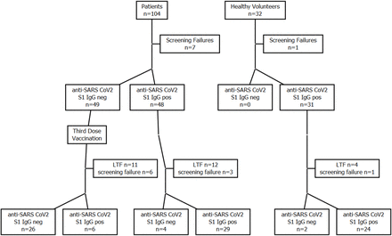 Supplementary Figure 1: