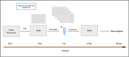 Fig 1.