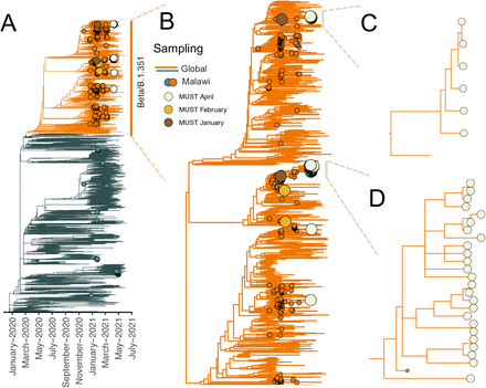 Figure 5: