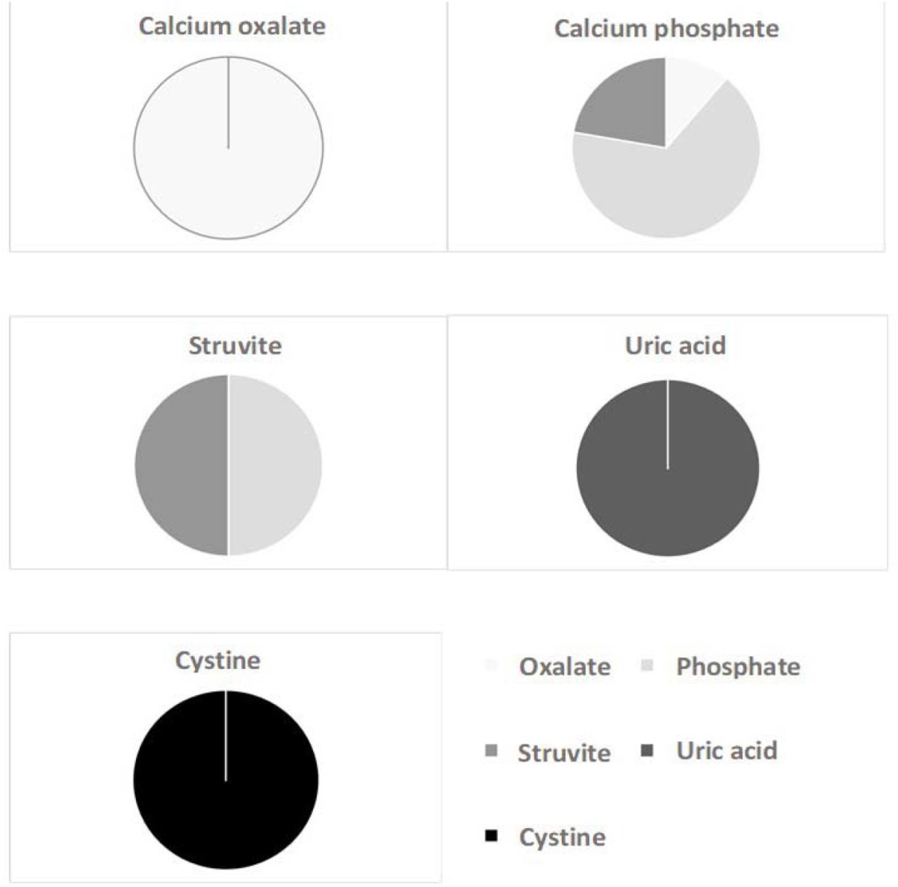 calcium oxalate stone