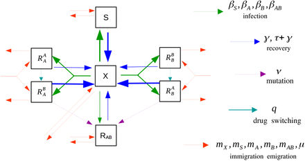 Figure 2: