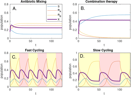 Figure 4: