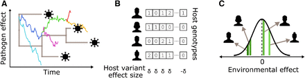 Figure 1: