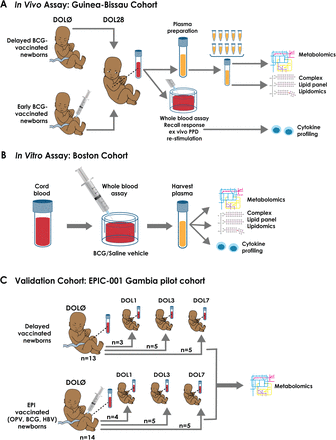 Figure 1: