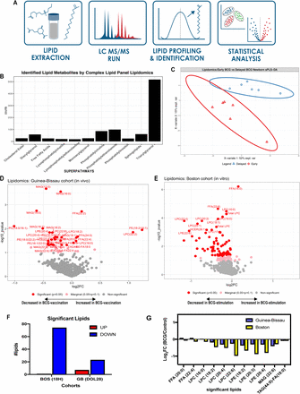 Figure 4: