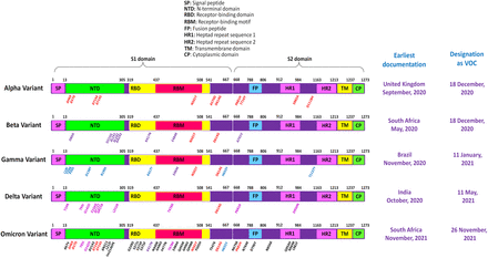 Figure 1: