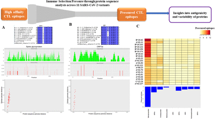 Figure 2: