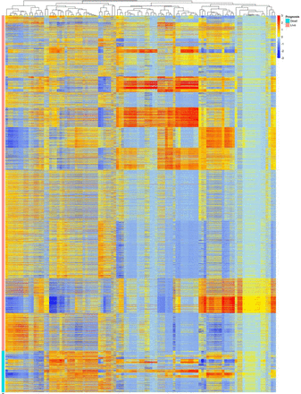 Figure 4: