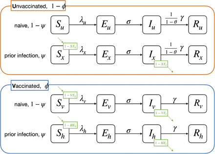 Figure S4: