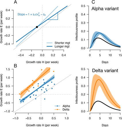 Figure 5: