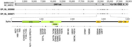 Supplementary Figure 1