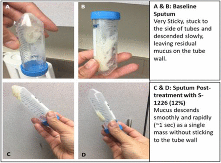 Figure 6: