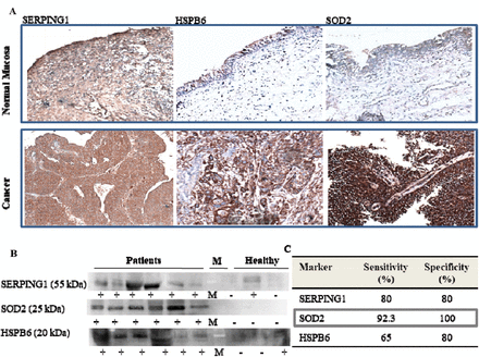 Figure 3: