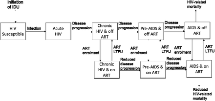 Figure 1b: