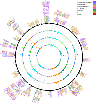 Supplementary Figure S13: