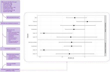 Figure 01: