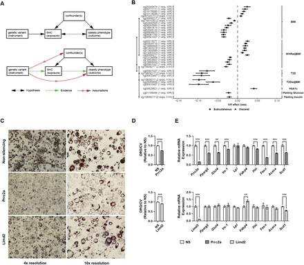 Figure 4: