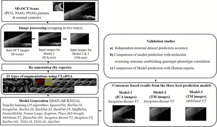 Fig 1: