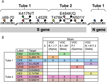 Figure 1.