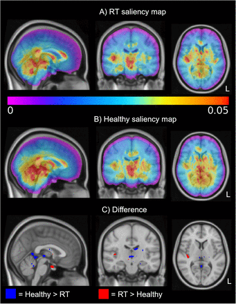 Fig. 10.