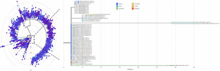 Figure 2: