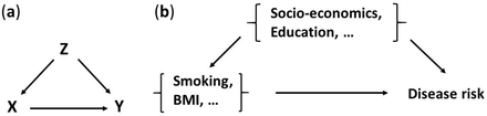 Figure 1: