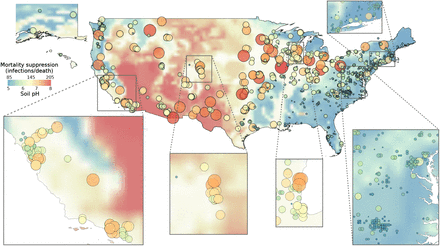 Figure 4: