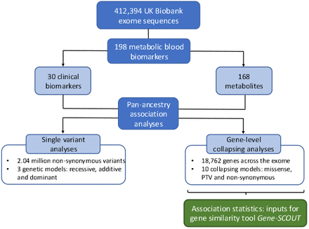 Figure 1: