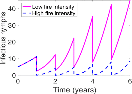 Figure 3: