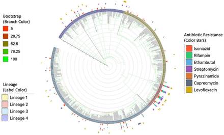 Figure 1: