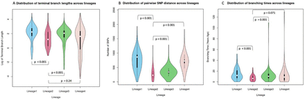 Figure 2: