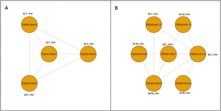 Figure 4: