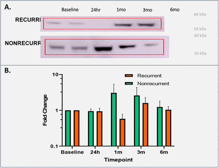 Supplementary Figure 1A.