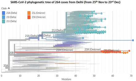 Figure 2: