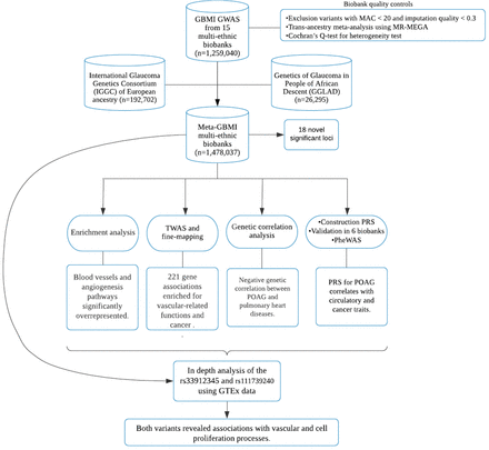 Figure 1: