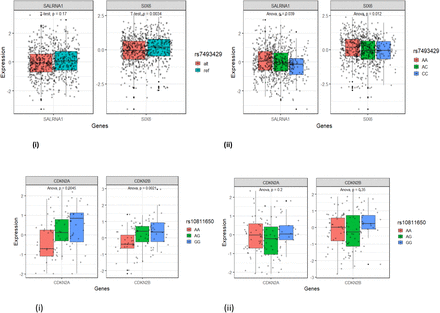 Figure 4B: