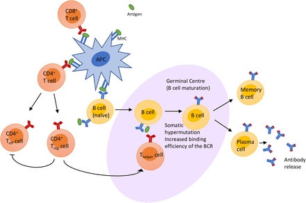 Figure 1: