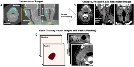 Figure 1: