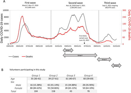 Figure 1: