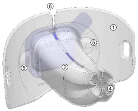 Figure 1B: