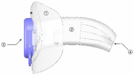 Figure 1C: