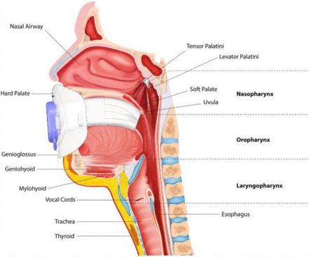 Figure 2: