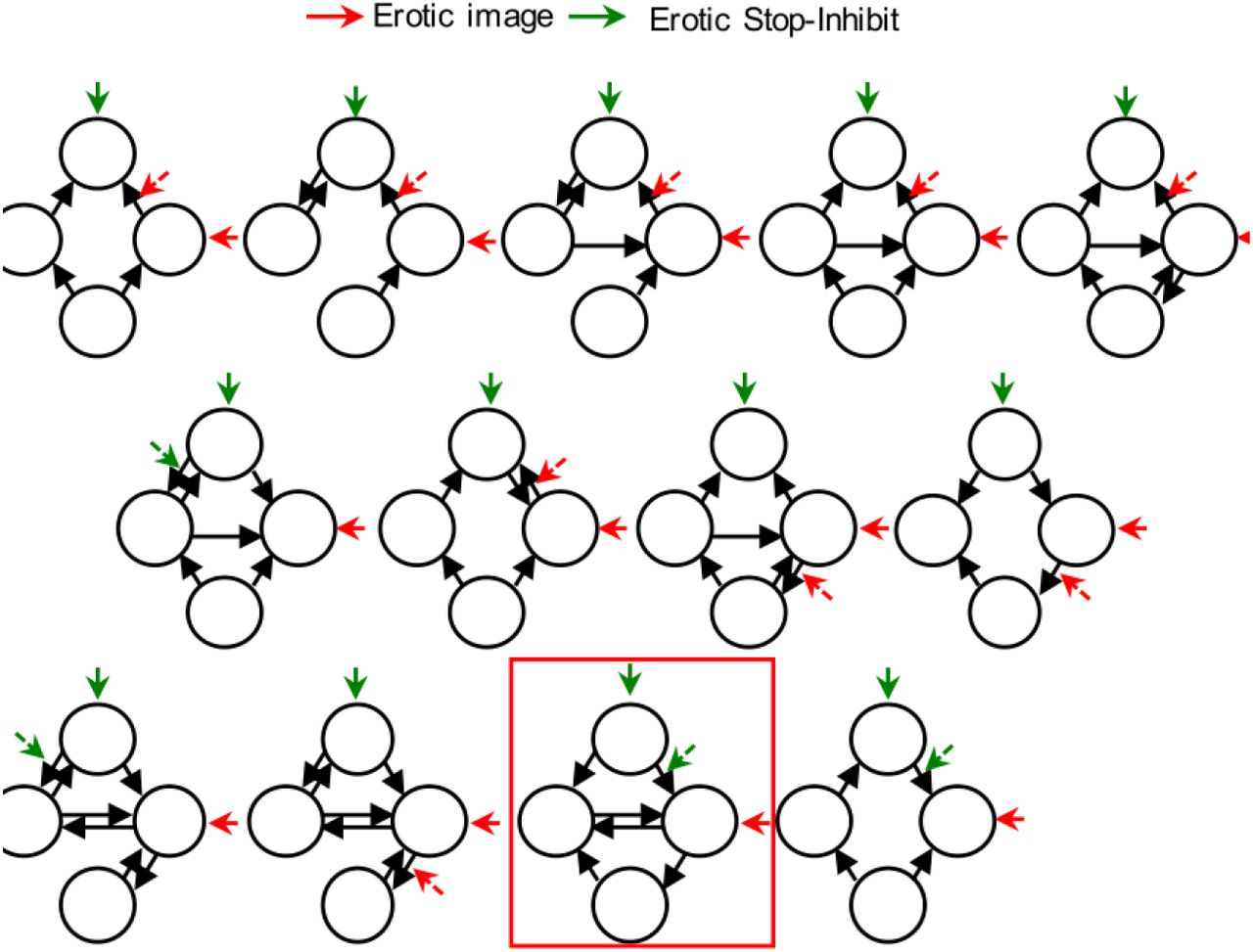 A circuit based approach to repair hypersexuality in Parkinson s