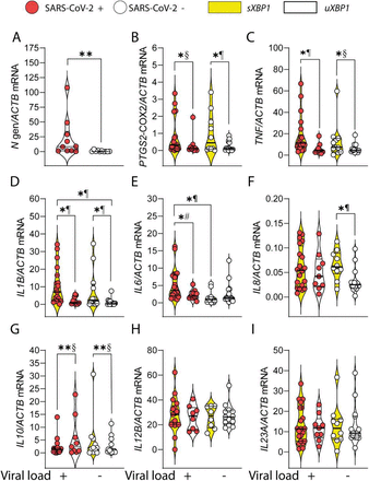 Fig 3.