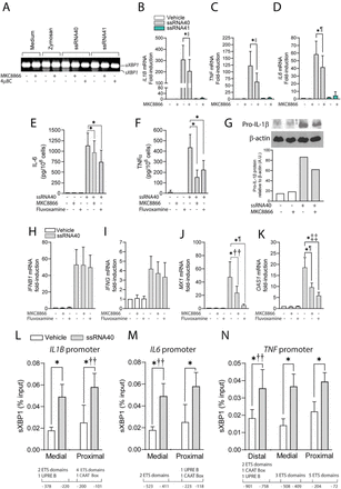 Fig 7.