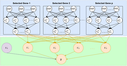 Fig 1.