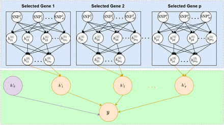 Fig 2.