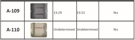 Supplementary Figure 1.