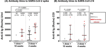 Supplementary Figure 1